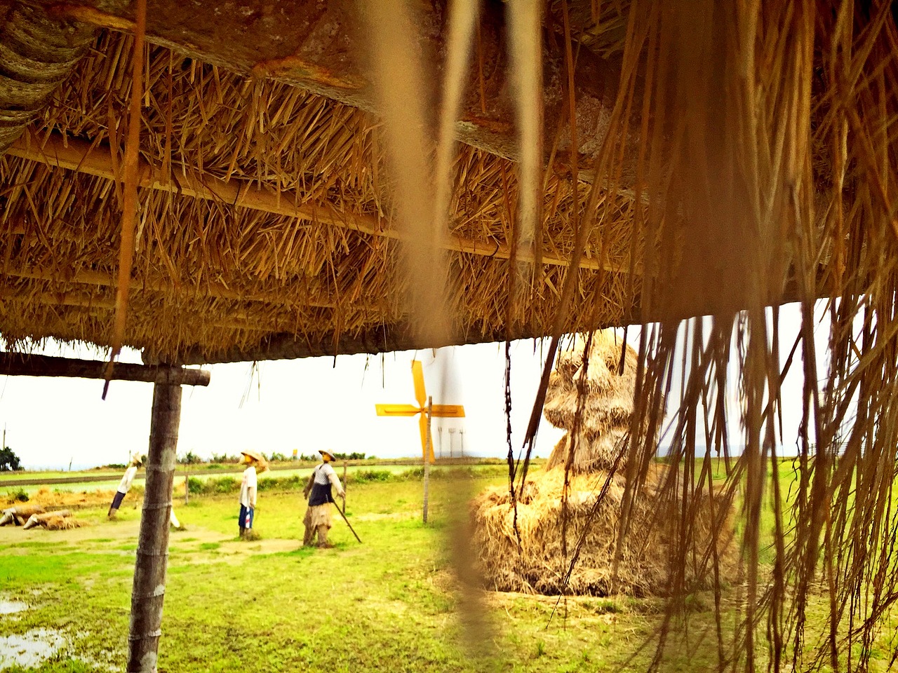 穹顶之上，超夯台湾