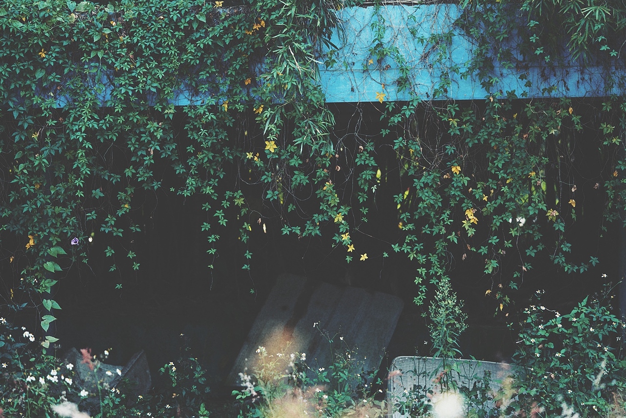 荒废（图ZMTgzMzc2MTYw） - 人像摄影 - 站酷设计师言某木木原创素材 - 站酷ZCOOL