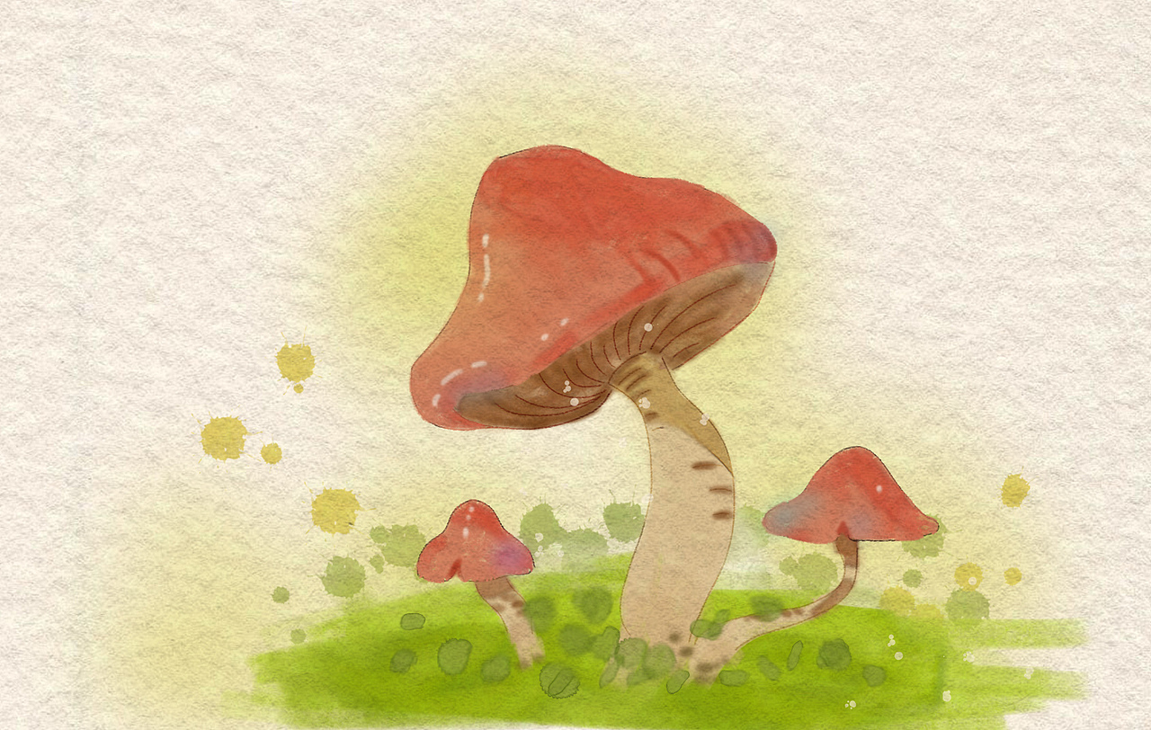 水彩蘑菇