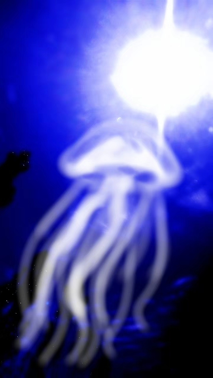 【脑世绘·集(111-120)】