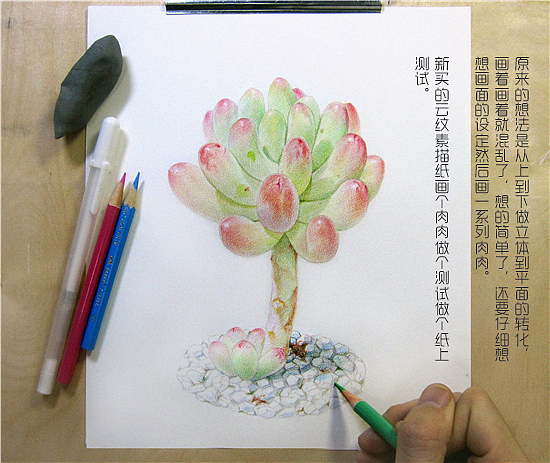 纸上彩铅--《多肉·乙女心》过程随录（图ZMTU0MDMzOTI=） - 绘画 - 站酷设计师超超的青葱原创素材 - 站酷ZCOOL