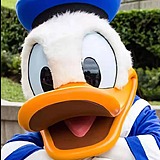 假装这里有昵称的头像
