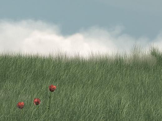 作业也要认真做之【方形构成·贰】