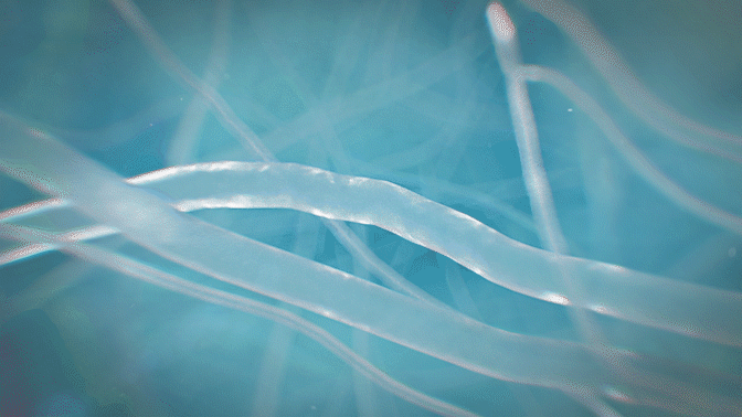 体恒健︱首页产品动态视频展示（图ZMjk1MjAyNTcy） - 动画/影视 - 站酷设计师三维设计师巍原创素材 - 站酷ZCOOL