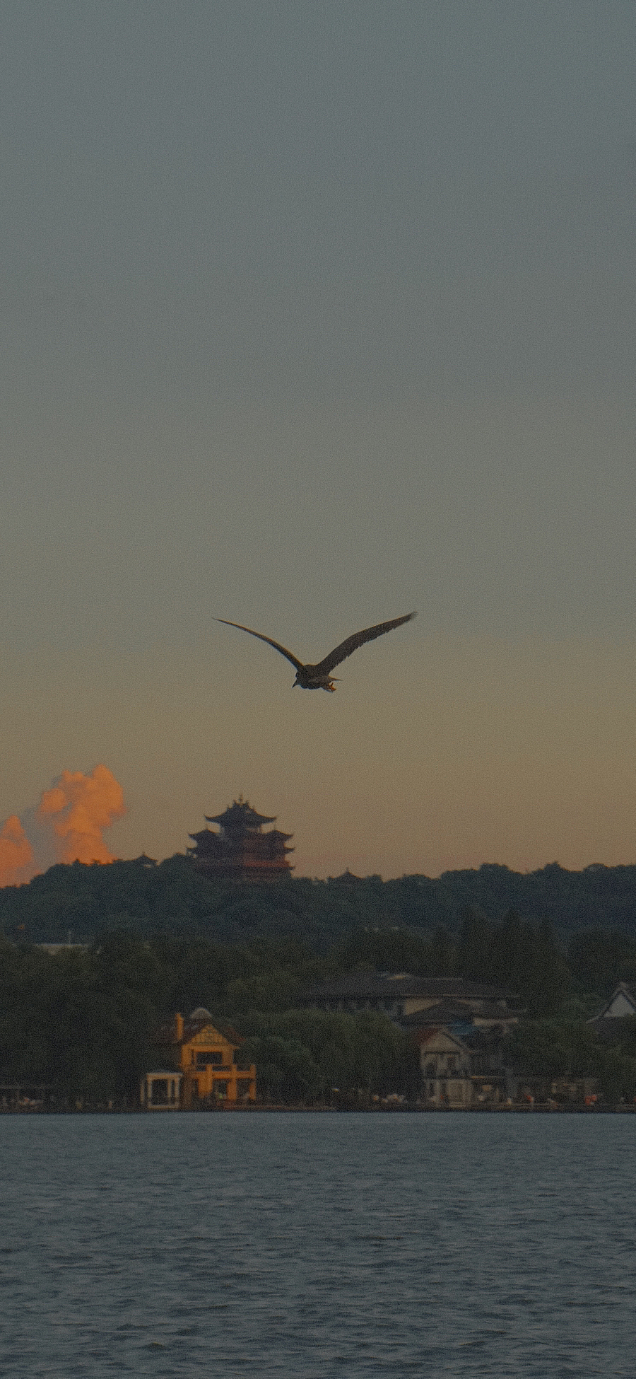 杭州上海南京风光摄影