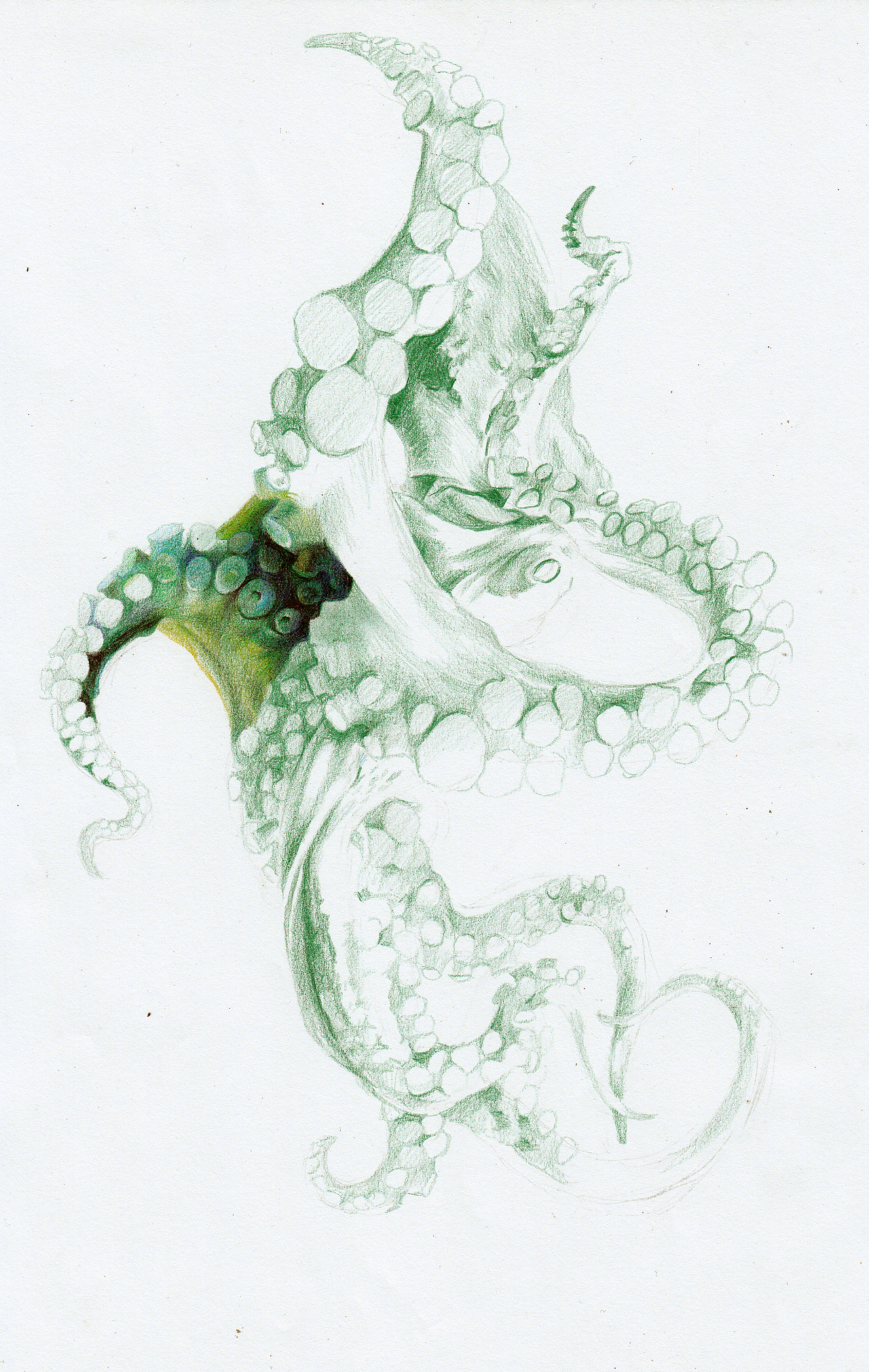 从最感兴趣的地方入手，注意层次