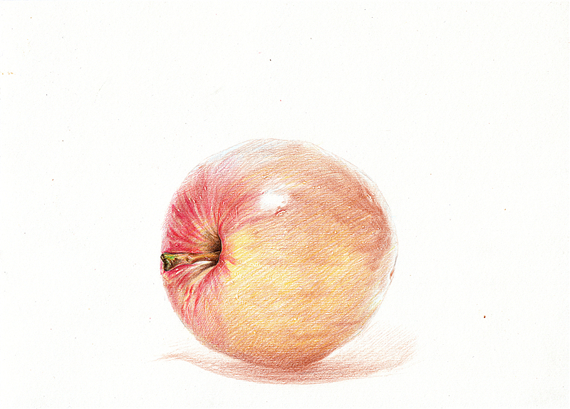 纸上彩铅--《苹果》随录 扫描版（图ZMTIyMDcwNjA=） - 绘画 - 站酷设计师超超的青葱原创素材 - 站酷ZCOOL