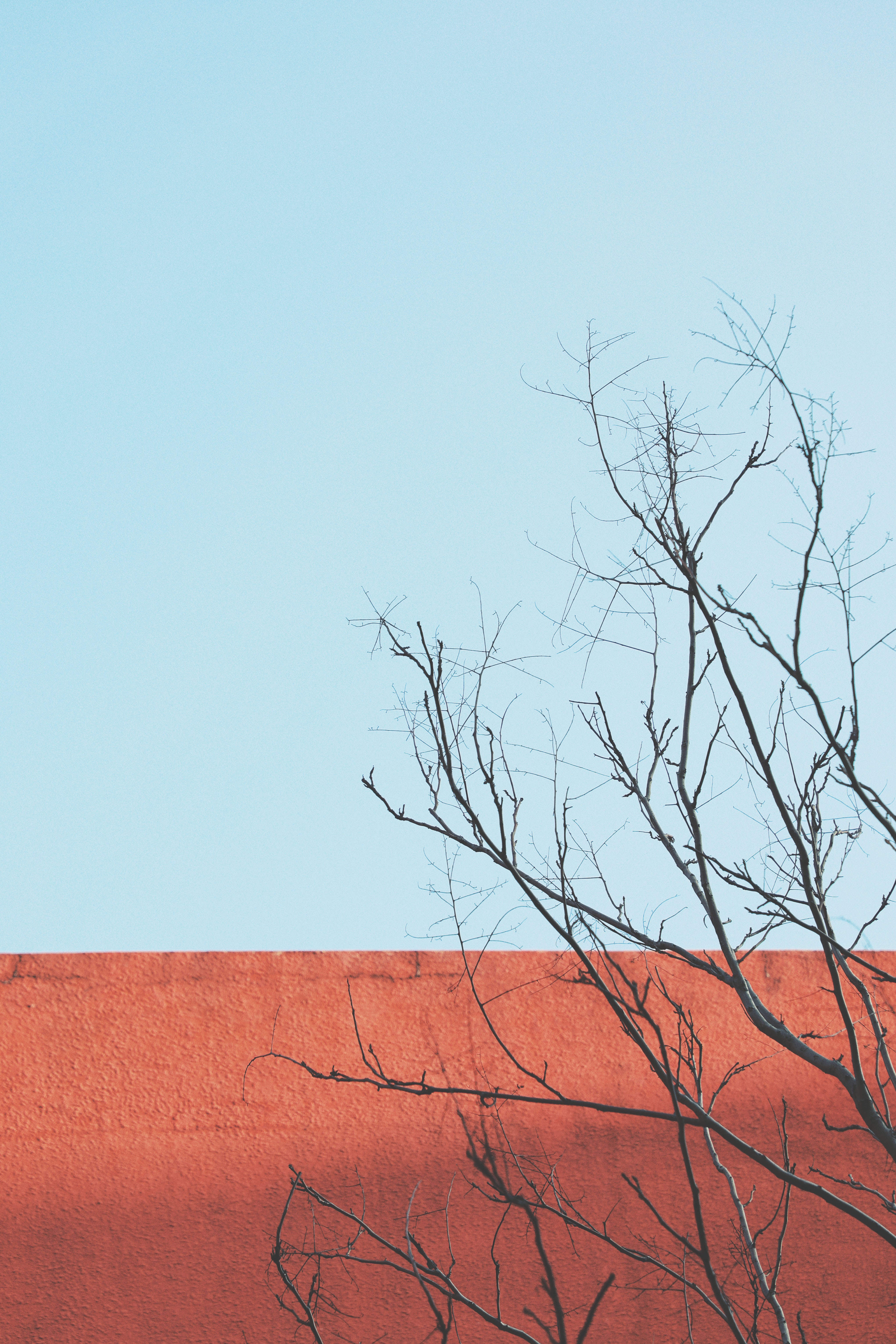 攝影老哥哥的個人主頁（封面預(yù)覽） - 主頁封面設(shè)置 - 站酷設(shè)計師攝影老哥哥原創(chuàng)素材 - 站酷ZCOOL