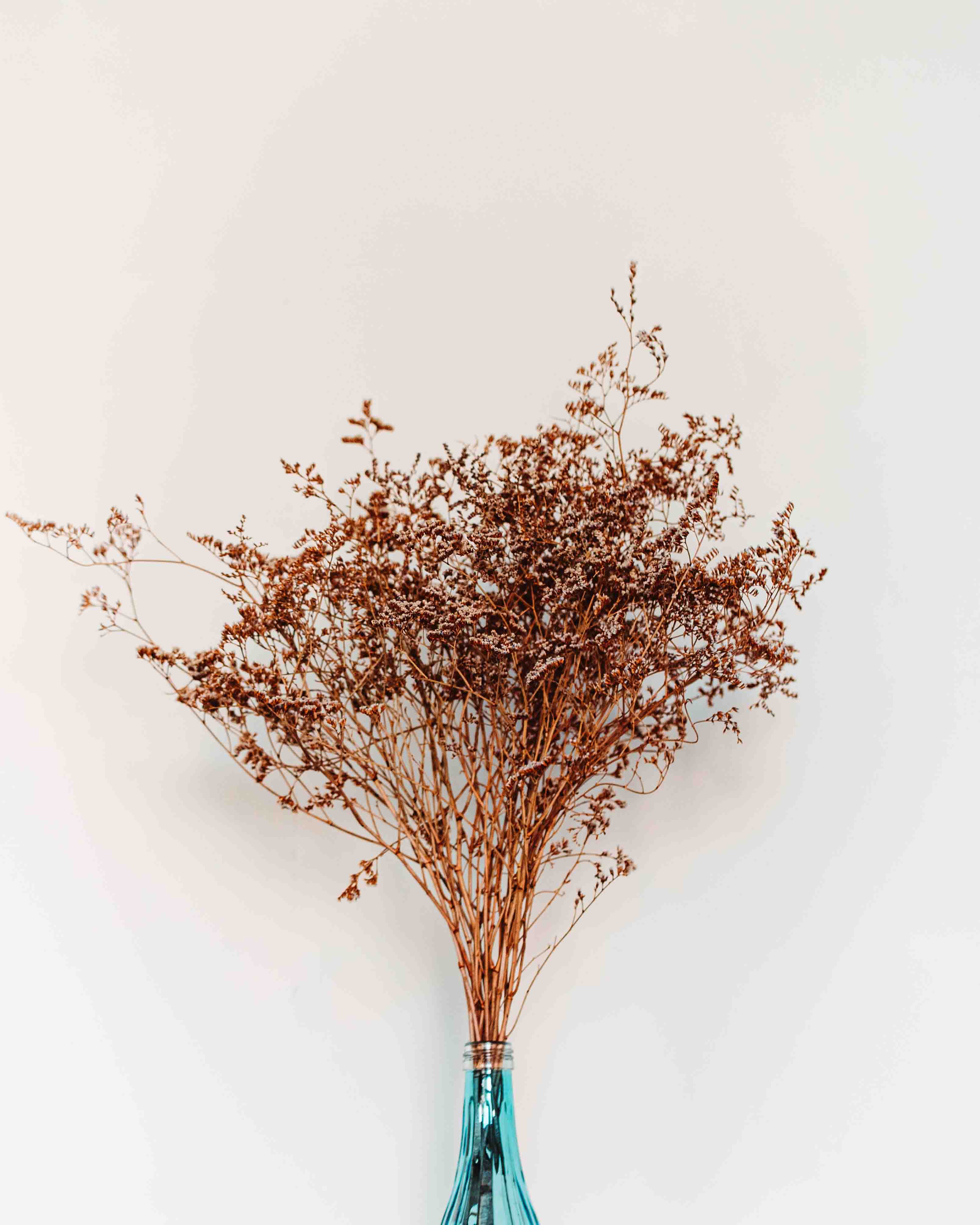 倔强的小伊儿的个人主页（背景预览） - 主页背景设置 - 站酷设计师倔强的小伊儿原创素材 - 站酷ZCOOL