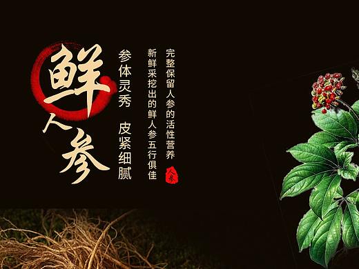 滋补类的详情滋补
