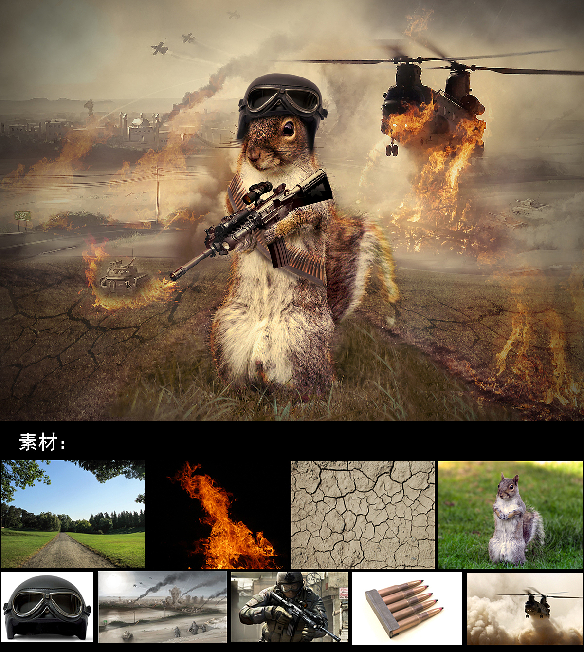 战火中的松鼠