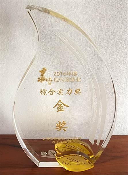 新东锦,再创新辉煌
