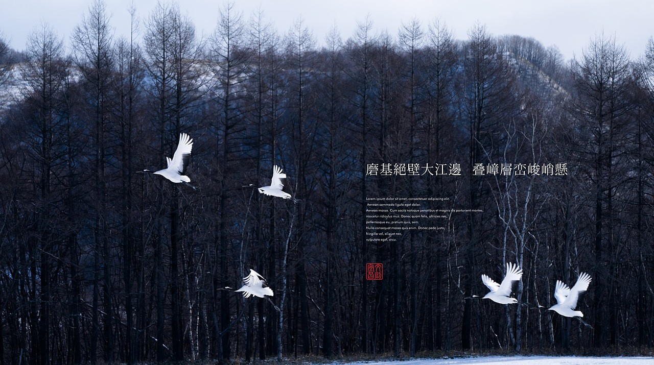 TORTOISE | 品牌集陆（图ZMTM2NDgxNDQ0） - 品牌 - 站酷设计师反光品牌Studio原创素材 - 站酷ZCOOL