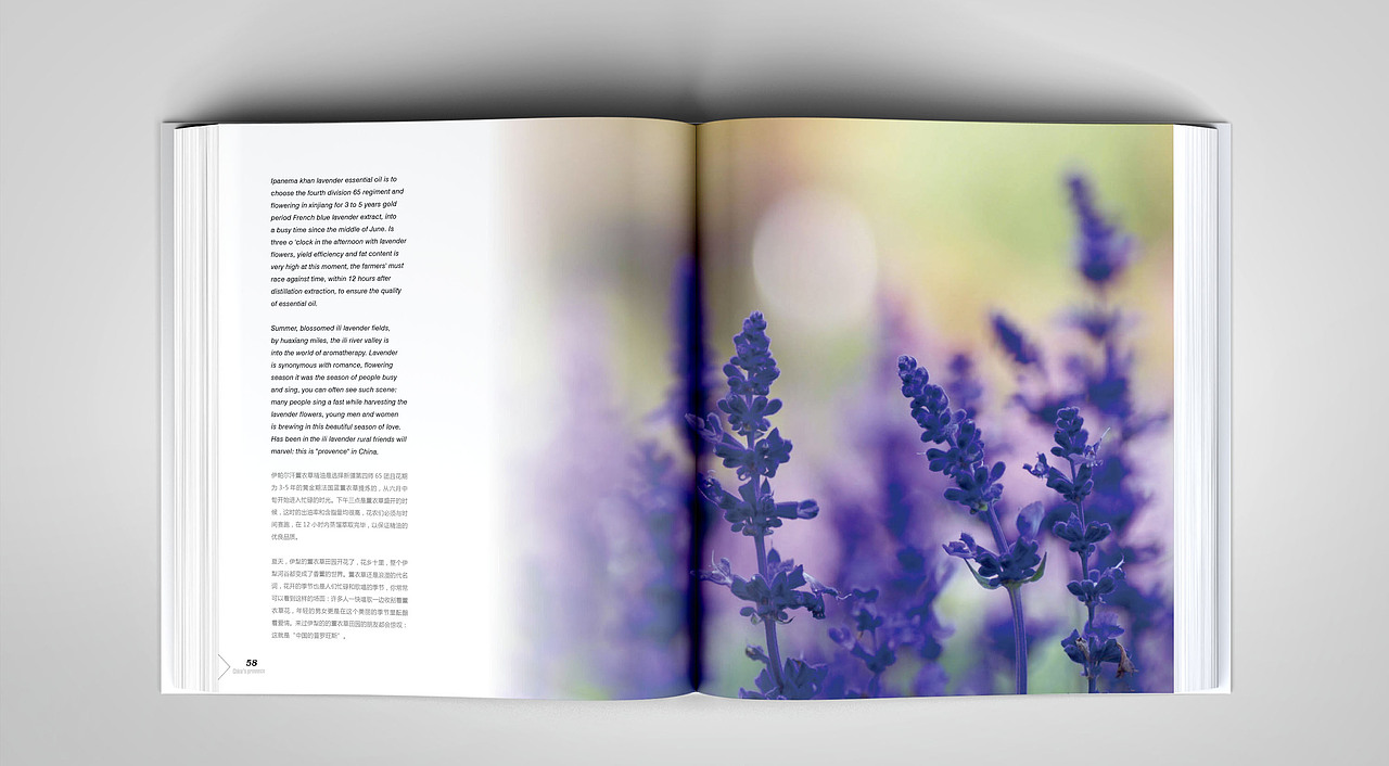 《中国的普罗旺斯》画册设计（图ZNjU4NTYwMDA=） - 书籍/画册 - 站酷设计师Super李_原创素材 - 站酷ZCOOL