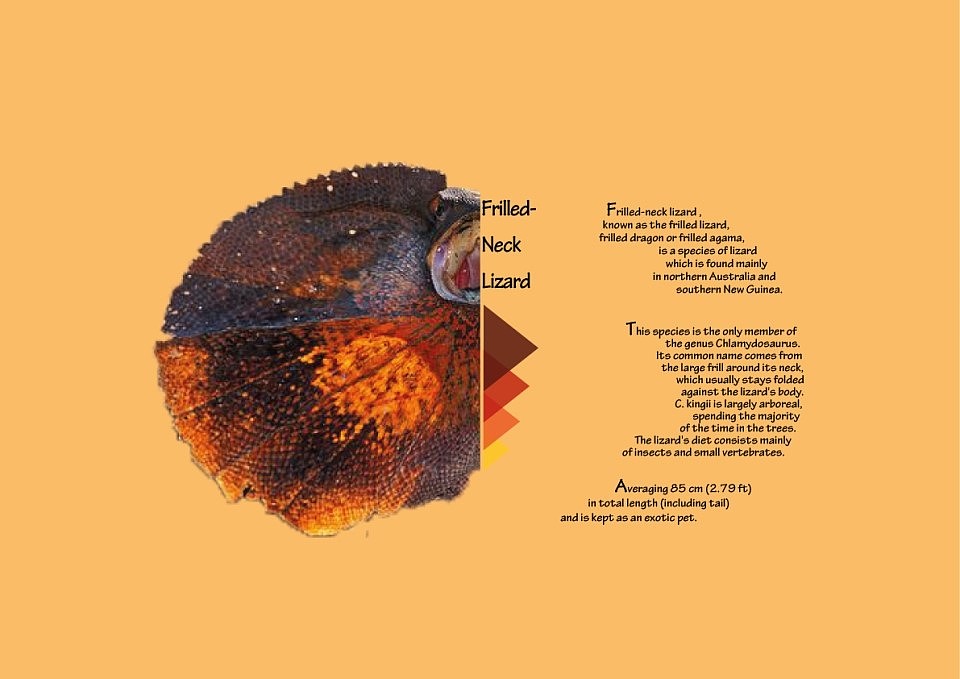 图案文字结合海报排版（图ZOTI5MzU4NTY=） - 海报 - 站酷设计师路漫长起步原创素材 - 站酷ZCOOL