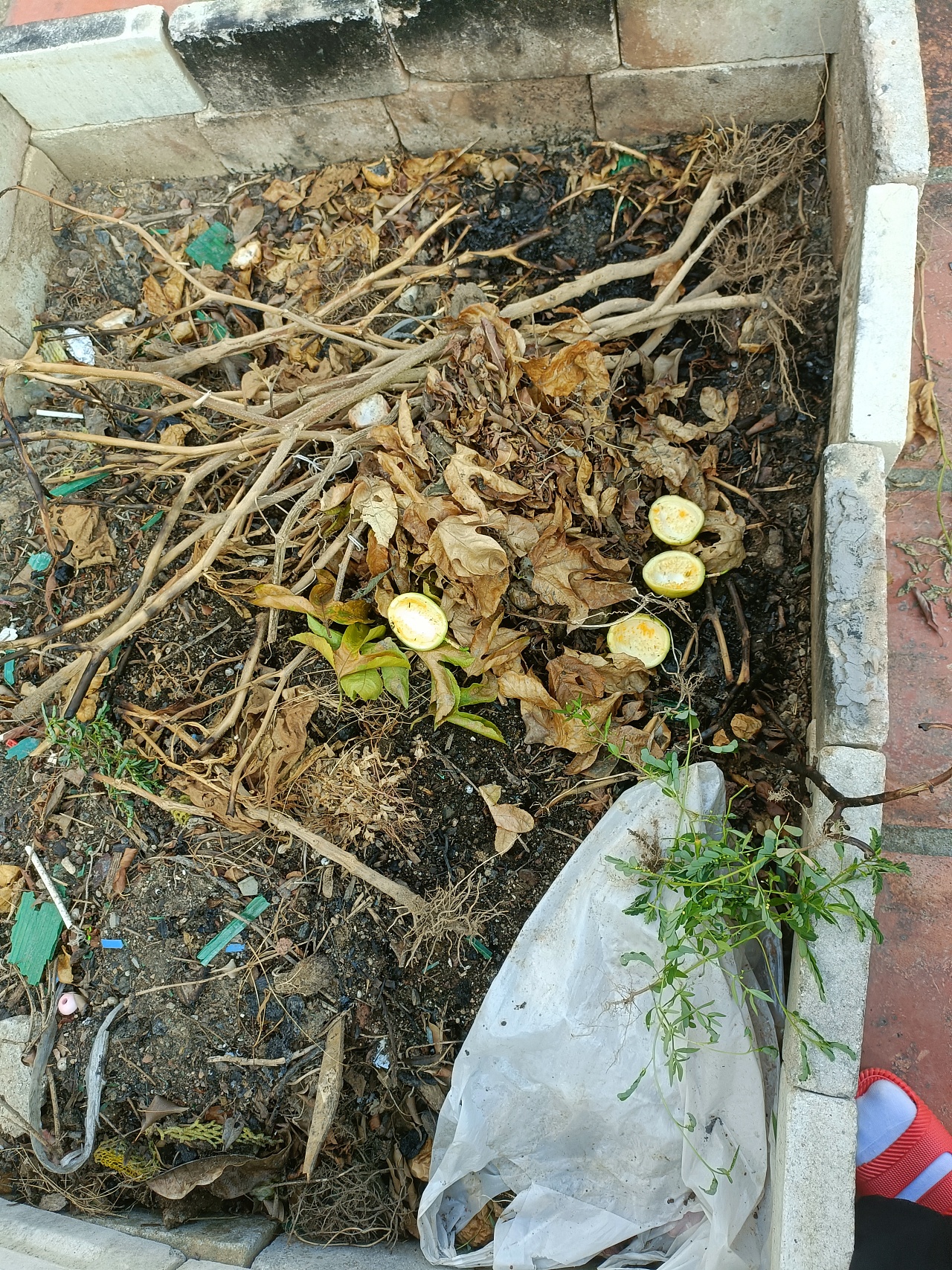 《心泛起了涟漪》