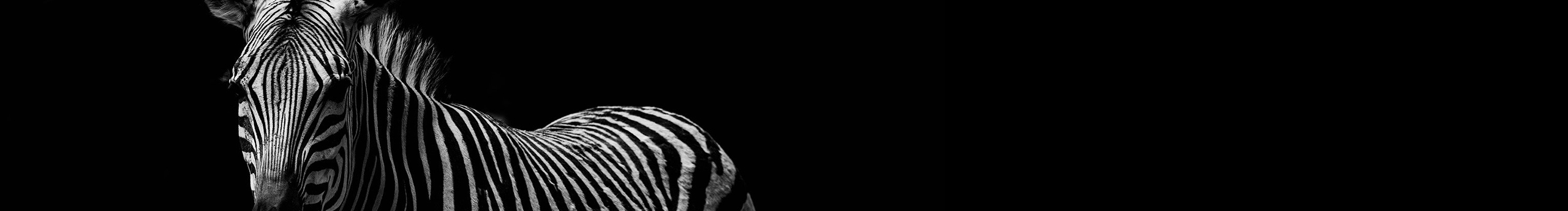 是卷卷啊的个人主页（封面预览） - 主页封面设置 - 站酷设计师是卷卷啊原创素材 - 站酷ZCOOL