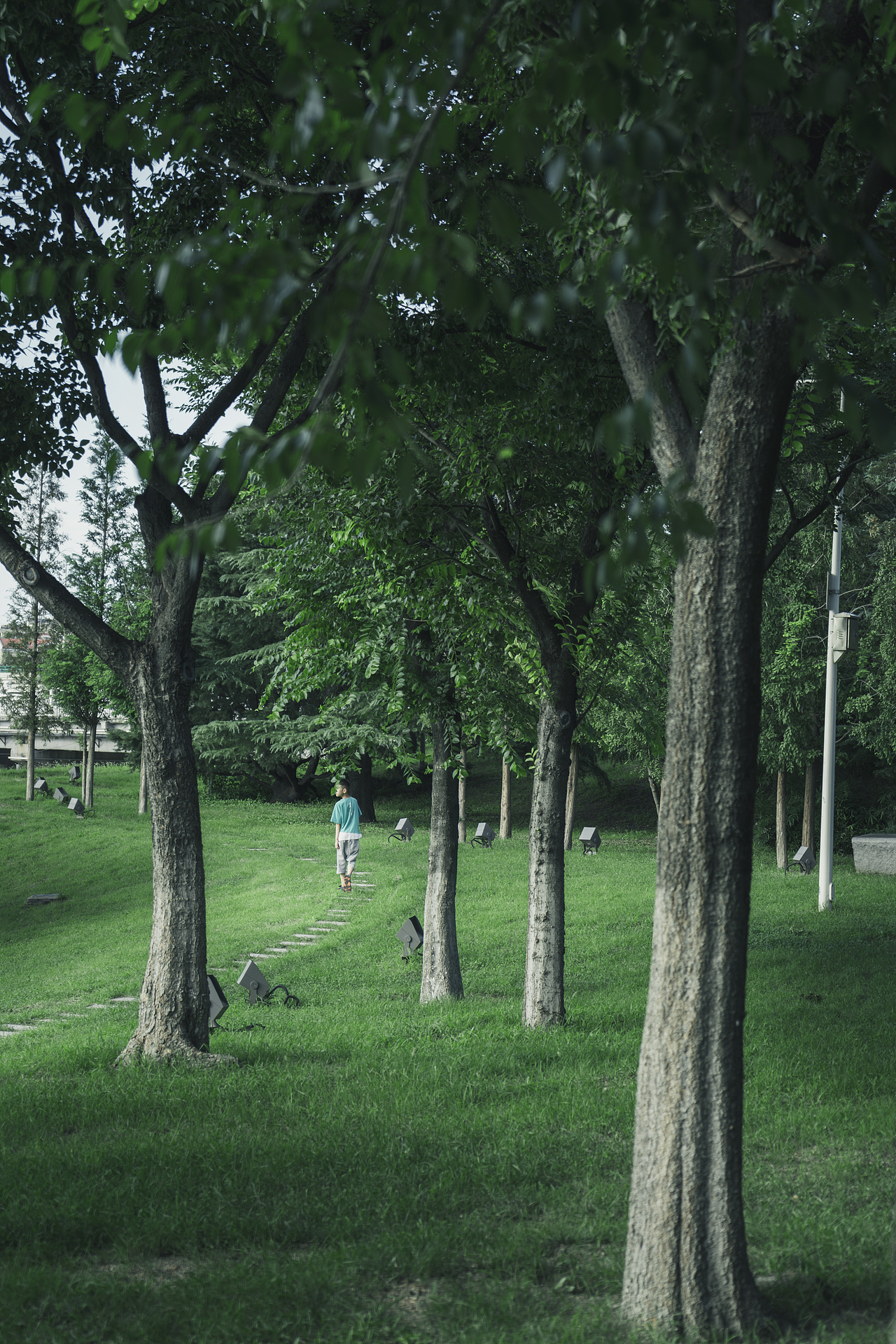 周末（图ZMzEzNDI4ODg0） - 风光摄影 - 站酷设计师非鱼子鹿原创素材 - 站酷ZCOOL