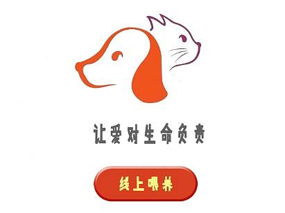 广告策划与创意设计—有宠APP流浪动物公益广告