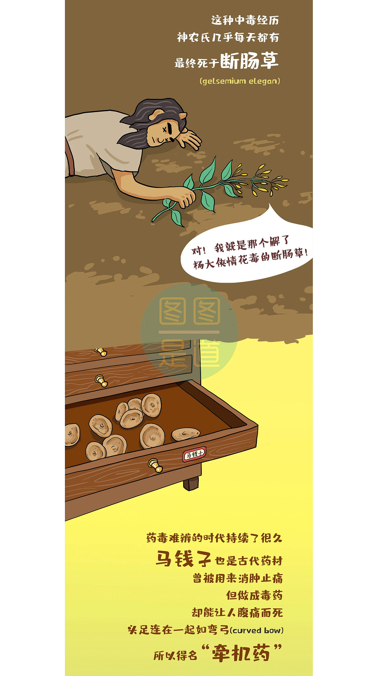 毒与药的一线之隔丨公众号插画