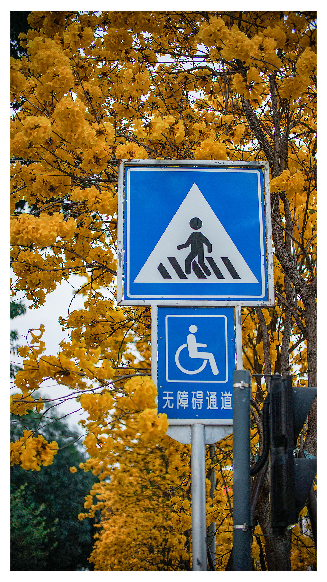 记录│城市的片段（图ZMjk5NzcyMDI0） - 人文/纪实摄影 - 站酷设计师希树原创素材 - 站酷ZCOOL