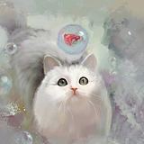 画花乐乐的头像