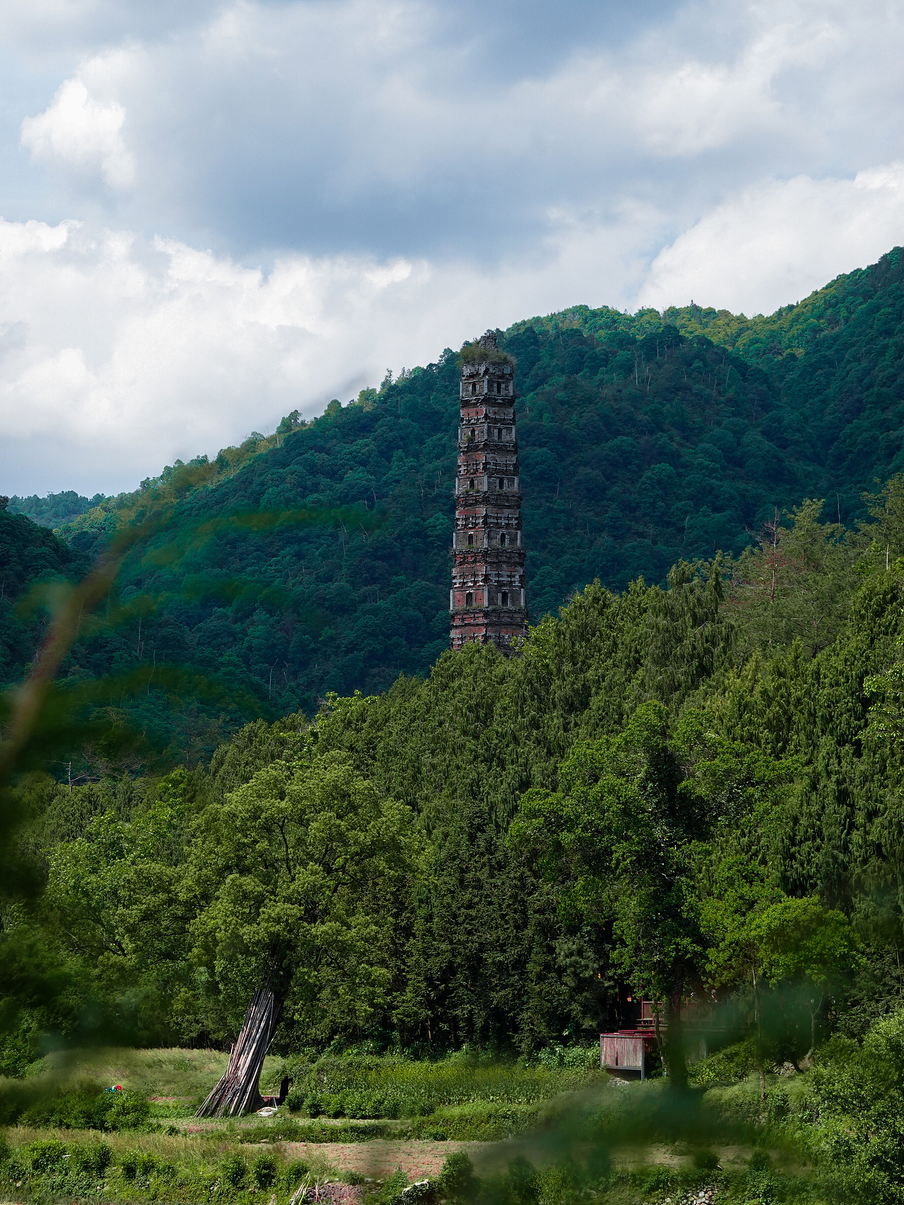 国清寺的初夏（图ZMzcwNjY4NDEy） - 环境/建筑摄影 - 站酷设计师哲哲呆不住原创素材 - 站酷ZCOOL