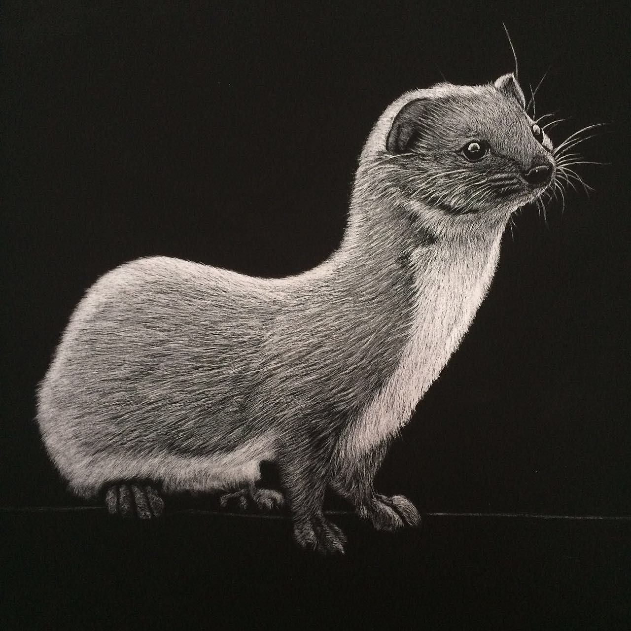 李子哥刮画作品