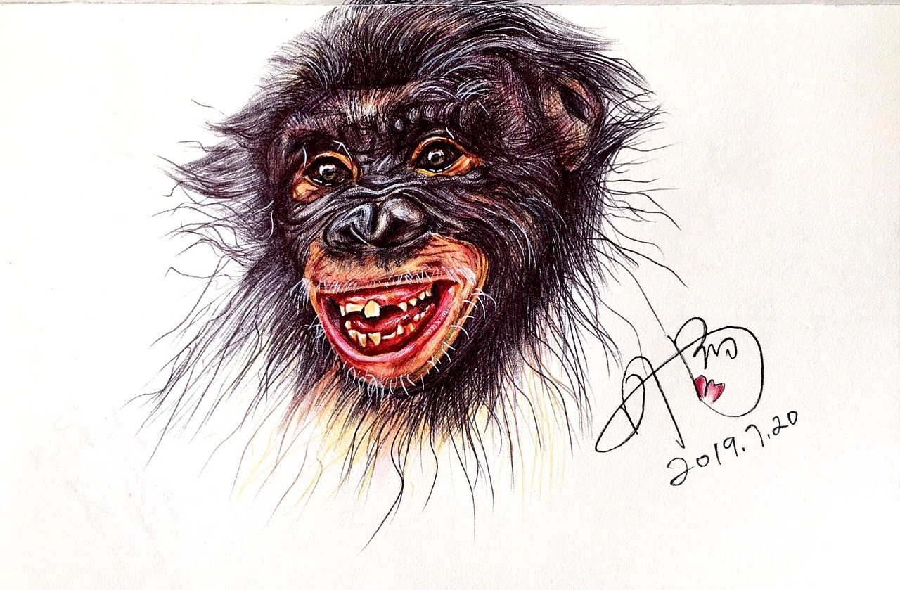 Akry丹阳/猩猩🦍/圆珠笔