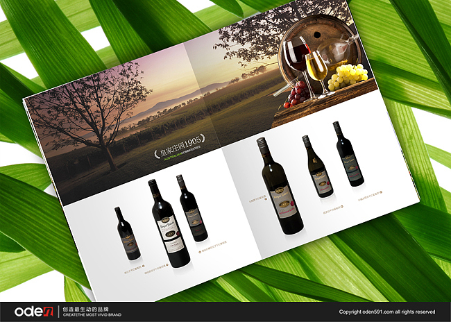 画册设计 包装设计 进口牛肉 红酒 保健品 奥登文化（图ZODAyNzg0MA==） - 宣传物料 - 站酷设计师oden奥登文化原创素材 - 站酷ZCOOL