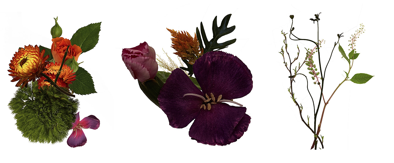 SHUTING QIU-蕾虎特别限定系列 TIME：2020.7（图ZMjU2MDc4NTk2） - 商业插画 - 站酷设计师阿萌呀原创素材 - 站酷ZCOOL