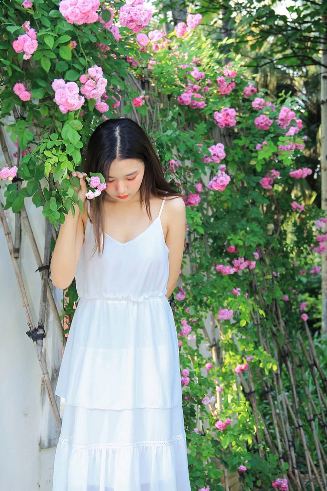 《薔薇》（圖ZMjIzNDY0ODAw） - 修圖/后期 - 站酷設(shè)計師jacklongcan原創(chuàng)素材 - 站酷ZCOOL