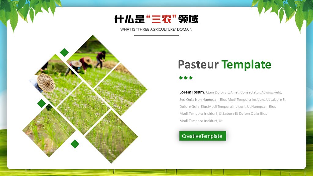 农业行业工作总结汇报PPT模板（图ZMjAyNDk3NTM2） - PPT/Keynote - 站酷设计师夏影PPT原创素材 - 站酷ZCOOL