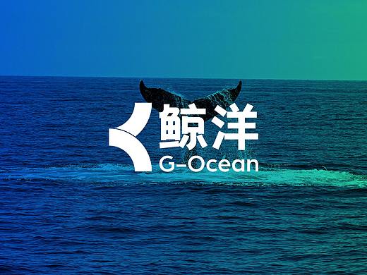鲸洋logo方案