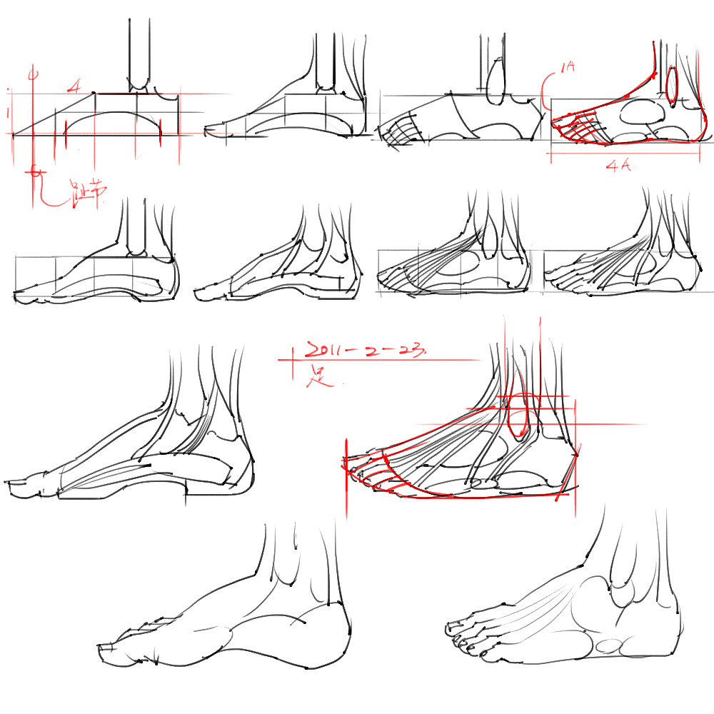 「素材」分享一波绘画专用人体解剖素材 part 05