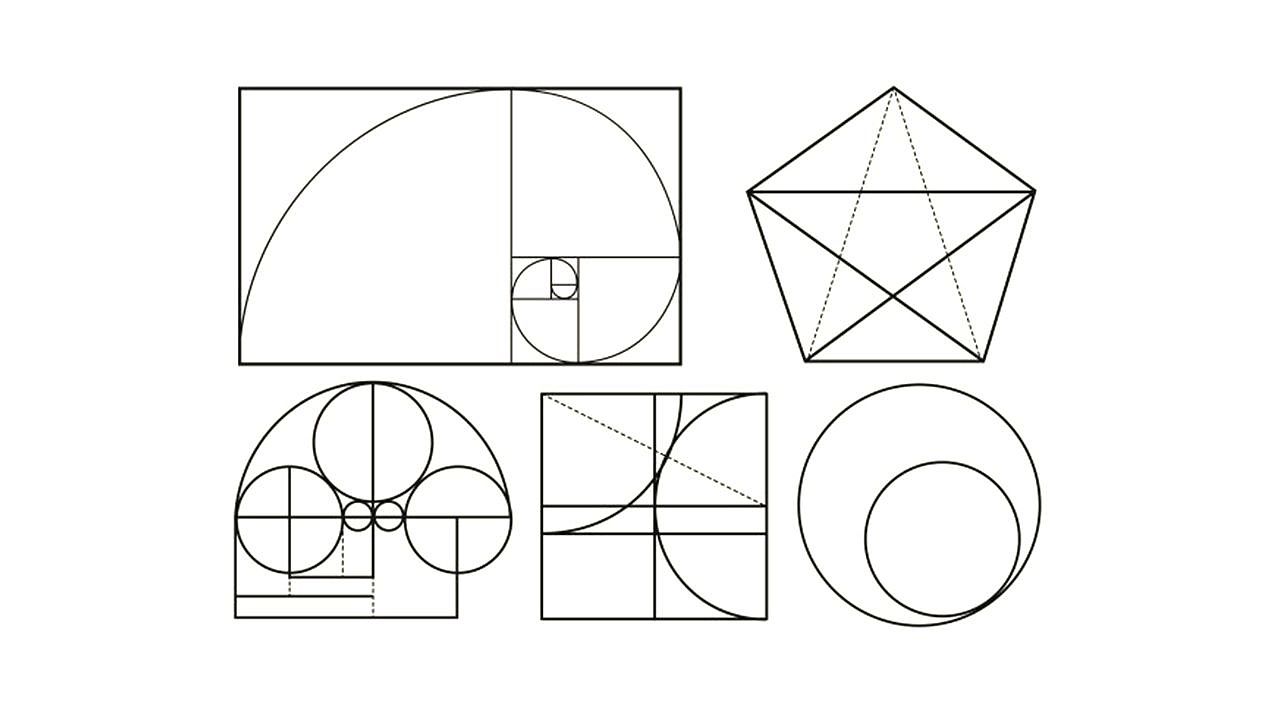 大象动物企业logo制作演变过程