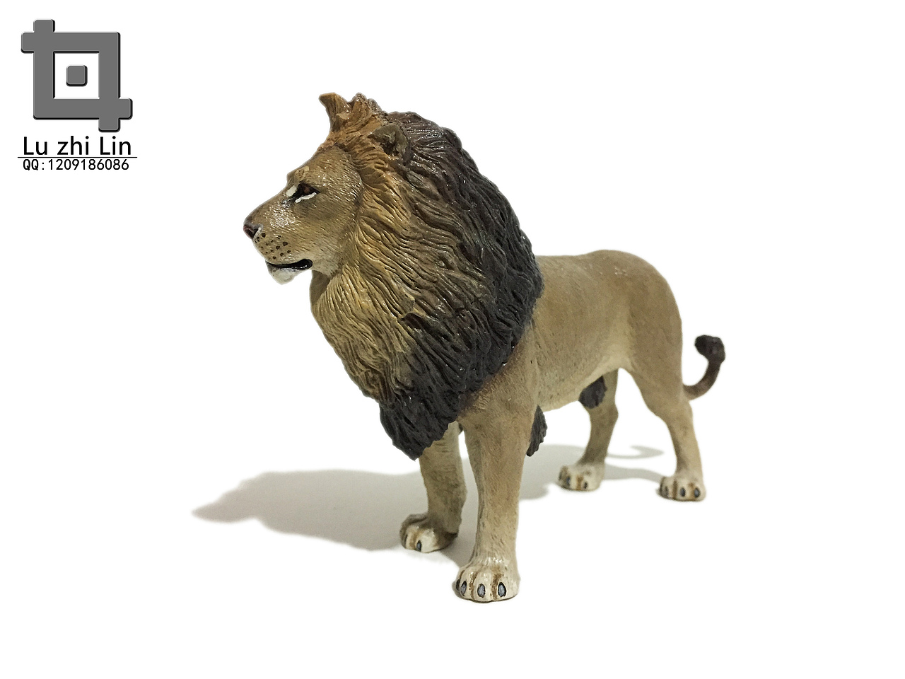 动物模型 狮子涂装展示|手工艺|手办/模玩|鹿之林_原创作品-站酷zcool