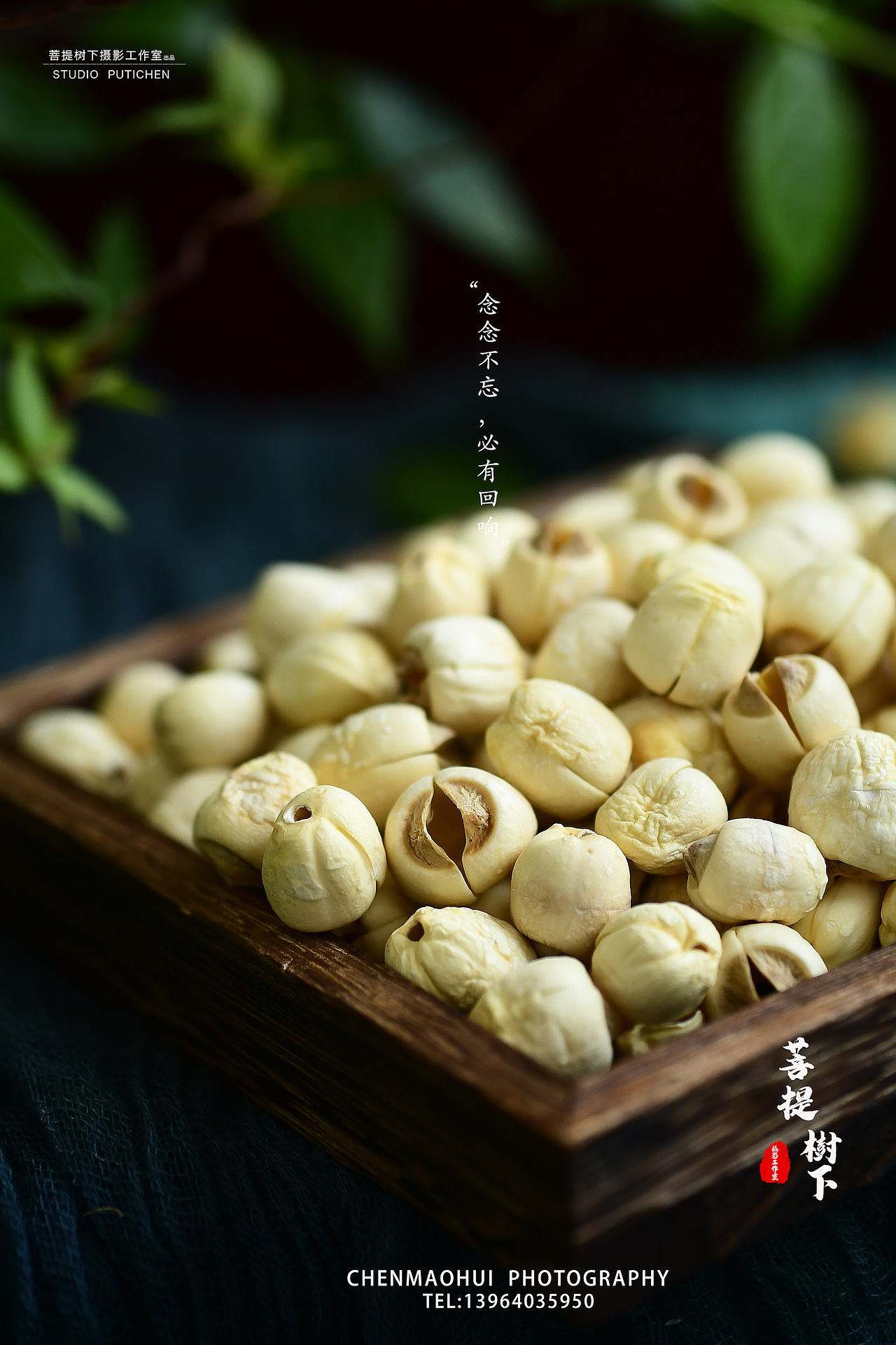 莲子（图ZMjA0MTYyNjc2） - 产品摄影 - 站酷设计师摄影师陈茂辉原创素材 - 站酷ZCOOL