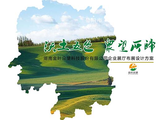 湖南金叶众望企业展厅