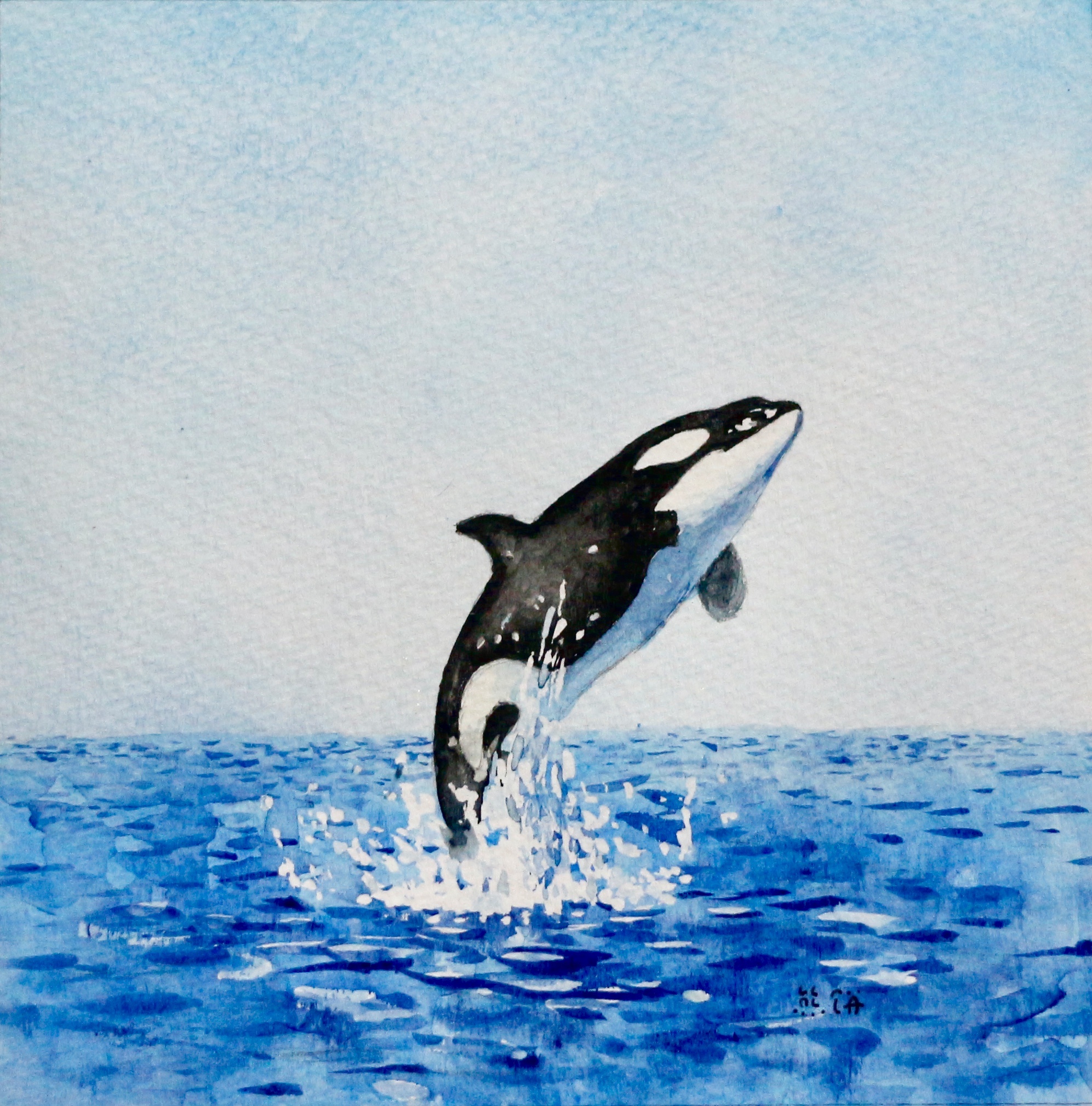 鲸鱼:whale::whale::whale