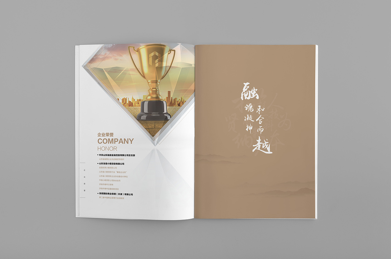 金融画册（图ZOTgxNjE1ODA=） - 书籍/画册 - 站酷设计师贝贝贝贝Baby原创素材 - 站酷ZCOOL