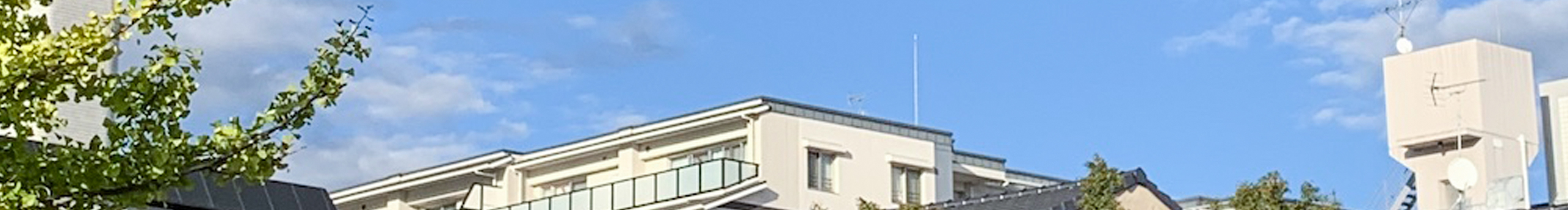 yzcwan88的个人主页（封面预览） - 主页封面设置 - 站酷设计师yzcwan88原创素材 - 站酷ZCOOL