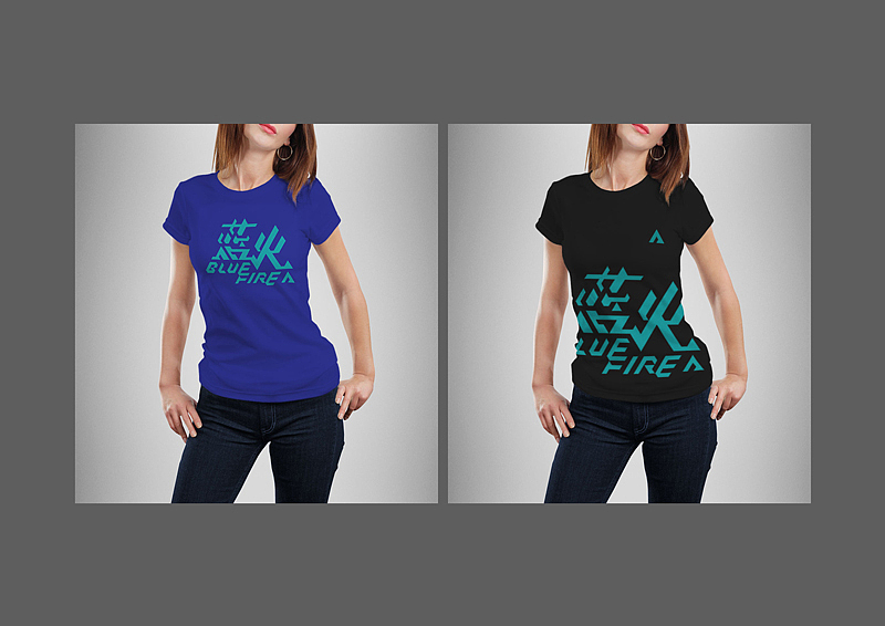 蓝火LOGO设计（图ZMTYzOTczOTYw） - Logo - 站酷设计师METALO原创素材 - 站酷ZCOOL