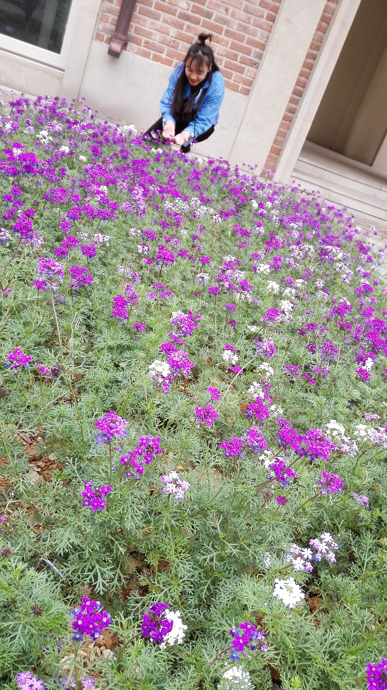 有的时候虚化一下人像,可以让人显得更美,对了美队3真的很不错,有世上最年轻的小蜘蛛(这不是广告)