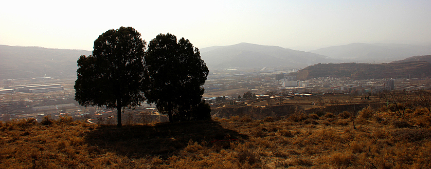 一年一次的回家  一年一次的记忆