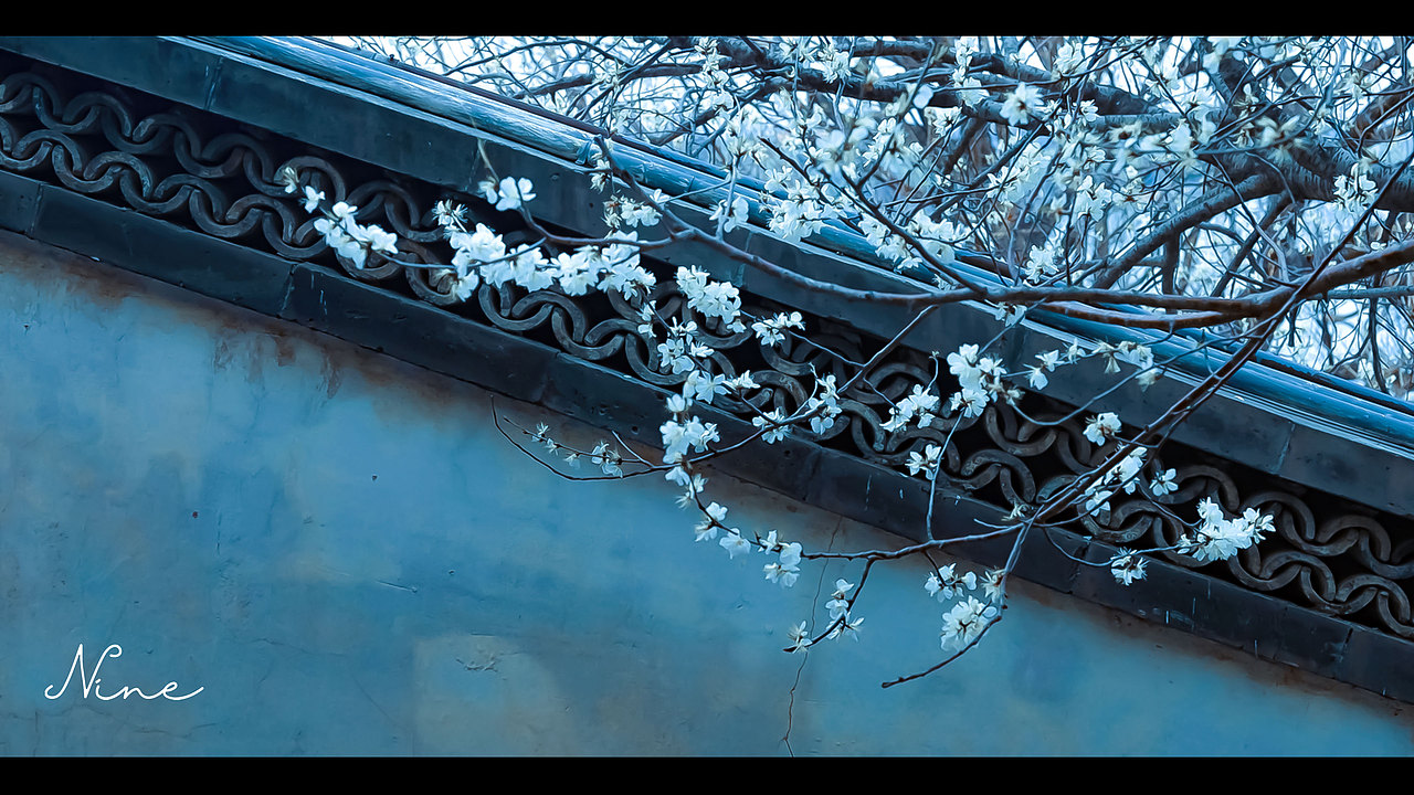 拍于北海公园的晚春