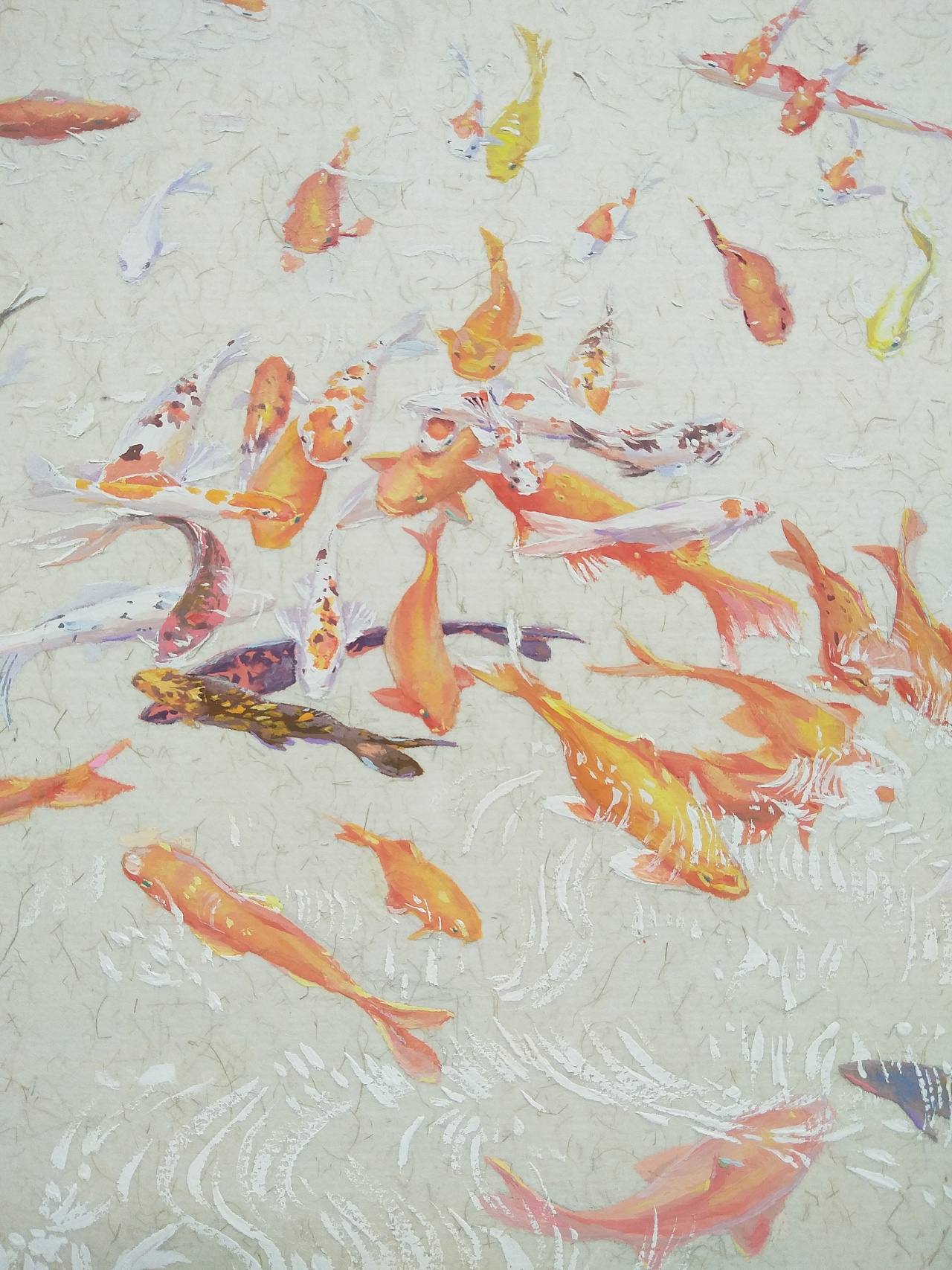 六十多条锦鲤,水粉照片写生≥▽