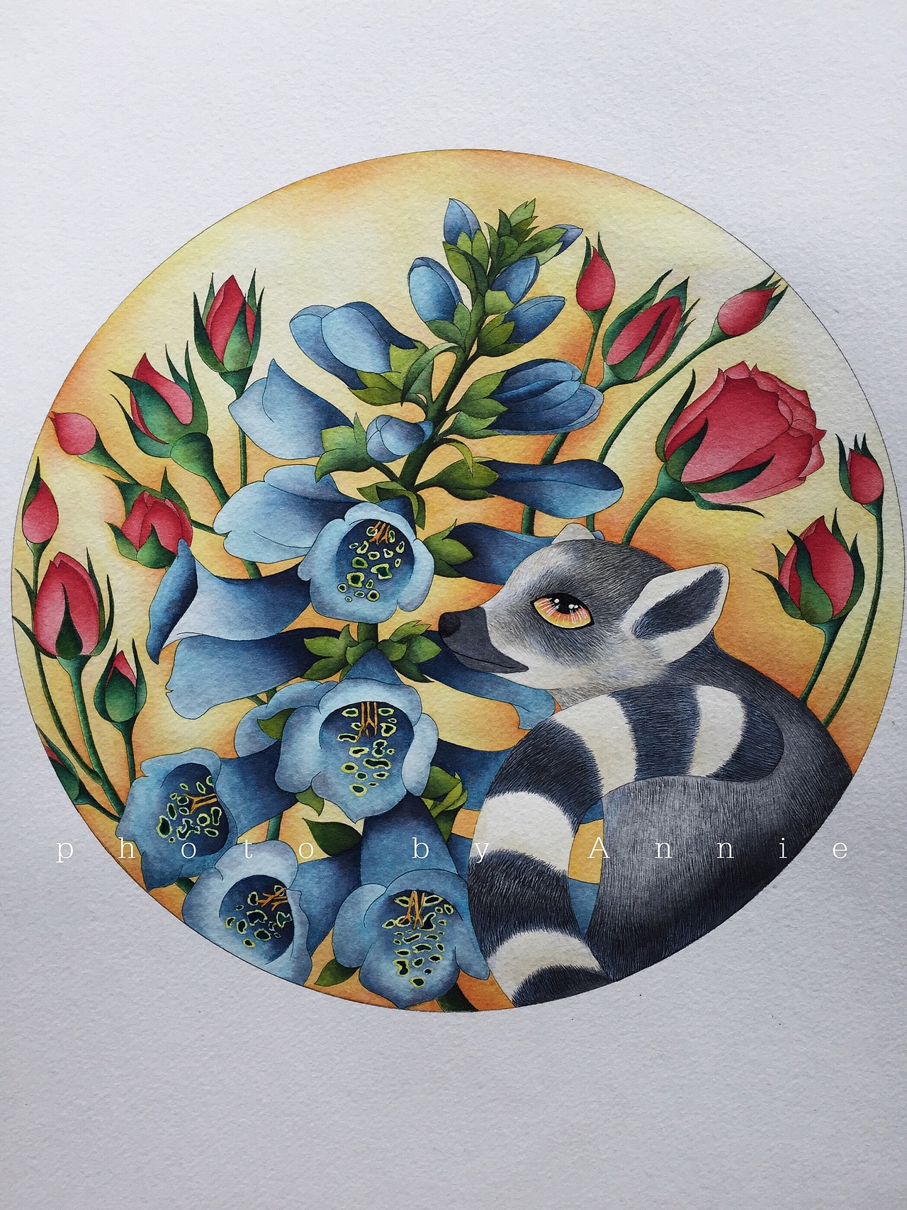 《植物与动物》系列