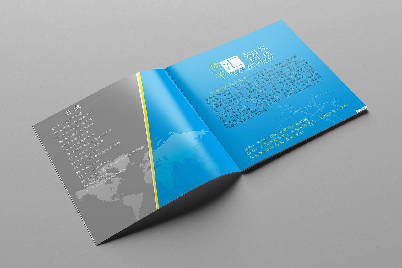 会刊 | 商业画册 (糖,但他不甜)