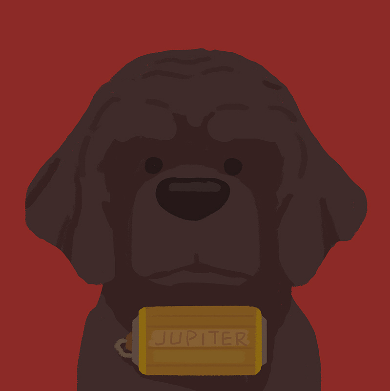 犬之岛-奇妙狗狗世界（图ZMTEzMDI3MjY4） - 艺术插画 - 站酷设计师阿鹿luke原创素材 - 站酷ZCOOL